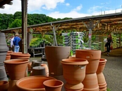Tuincentra